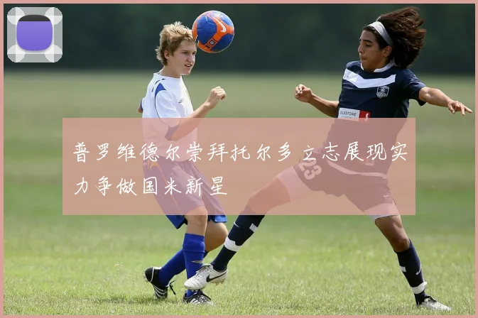 普罗维德尔崇拜托尔多立志展现实力争做国米新星