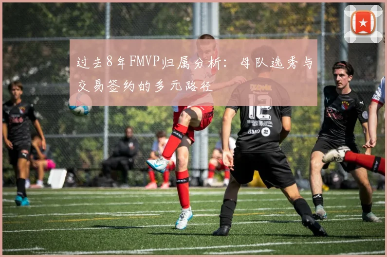 过去8年FMVP归属分析：母队选秀与交易签约的多元路径